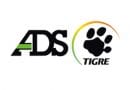 ads
